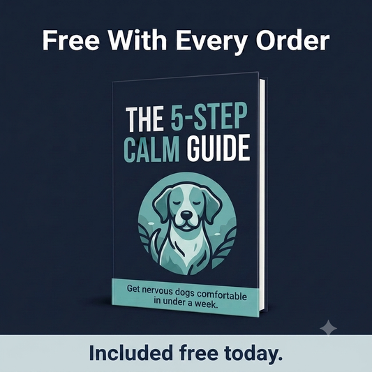 The 5-Step Calm Guide